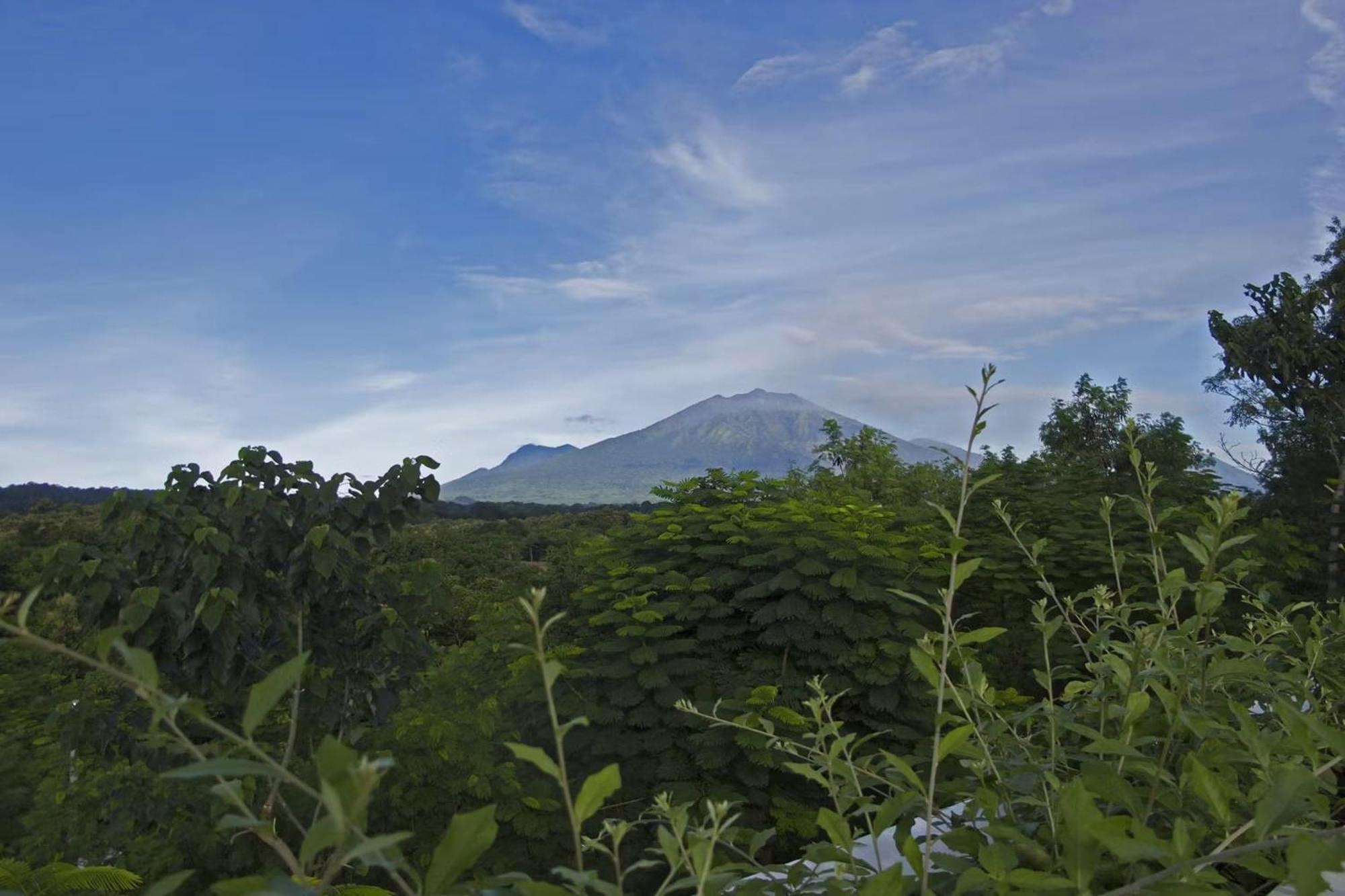 Bangsring Breeze Hotel Banyuwangi  Buitenkant foto